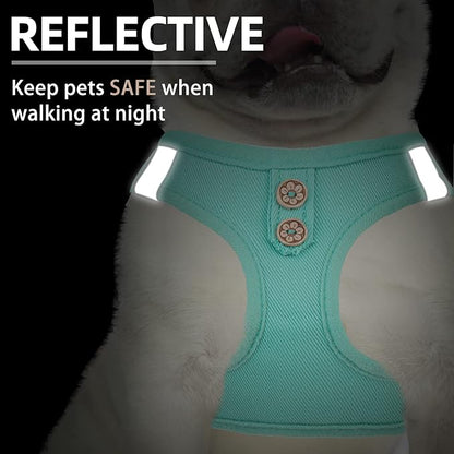 PUPTECK Dog Harness and Leash Set for Small Medium Dogs No Pull Step-in Soft Mesh Puppy Cat Vest Harnesses Reflective at Night, Denim Green XS
