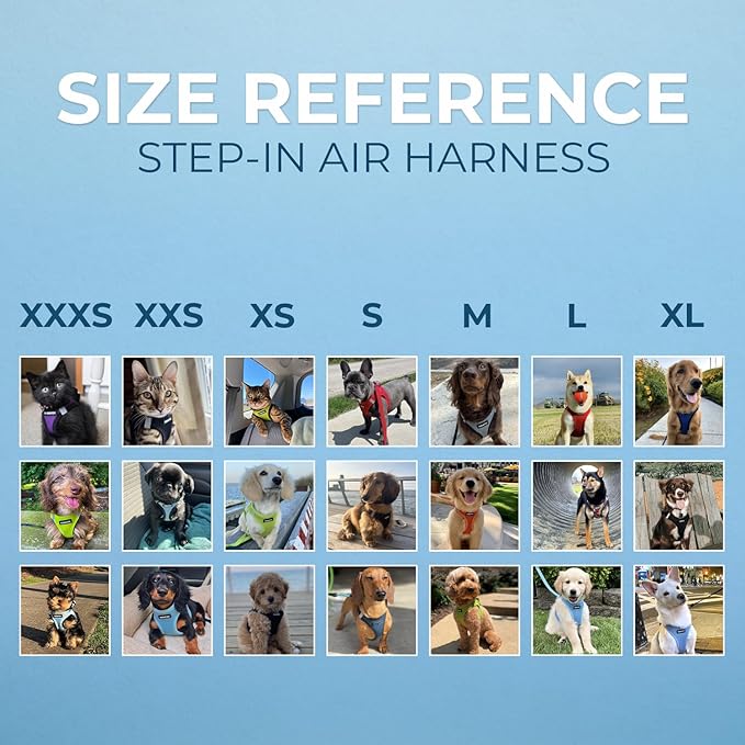 Best Pet Supplies Voyager Step-in Air Harness - All Weather Mesh, Reflective, No Pull Harness for Dogs, Cats - Secure with Hook & Loop Fastener, Buckle, Double D-Rings - Black, XXS
