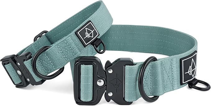 Made to ROAM Premium Dog Collar - Adjustable Heavy Duty Nylon Collar with Quick-Release Metal Buckle (Florida Seaside, Classic Size 4)