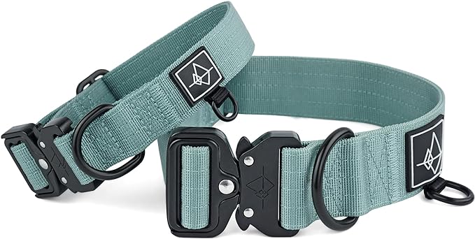 Made to ROAM Premium Dog Collar - Adjustable Heavy Duty Nylon Collar with Quick-Release Metal Buckle (Florida Seaside, Classic Size 2)