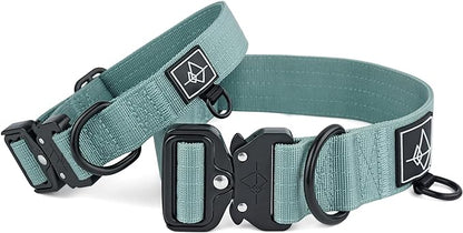 Made to ROAM Premium Dog Collar - Adjustable Heavy Duty Nylon Collar with Quick-Release Metal Buckle (Florida Seaside, Classic Size 2)