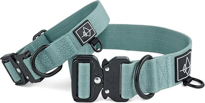 Made to ROAM Premium Dog Collar - Adjustable Heavy Duty Nylon Collar with Quick-Release Metal Buckle (Florida Seaside, Classic Size 5)