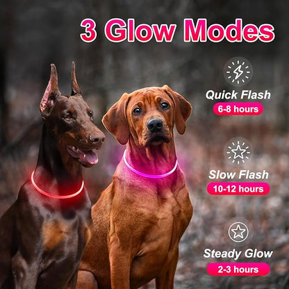 2 Packs Light Up Dog Collar, LED Dog Collar, USB Rechargeable Dog Lights for Night Walking, Adjustable Glow in The Dark Collars for Small Medium Large Dogs, Waterproof Safety Pets Lights Red&Pink
