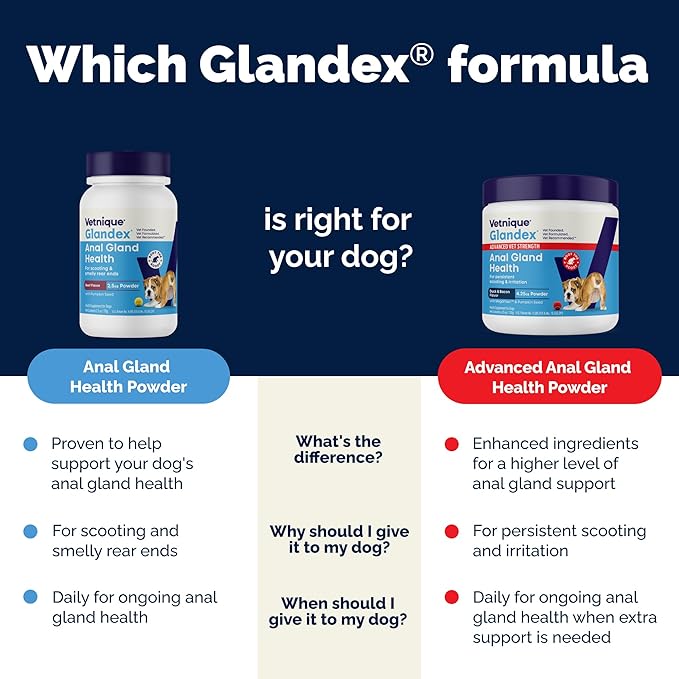 Vetnique Glandex Dog Fiber Supplement Powder for Anal Glands with Pumpkin, Digestive Enzymes & Dog Probiotics for Digestive Health - Vet Recommended - Boot The Scoot (Salmon, 2.5oz Powder)