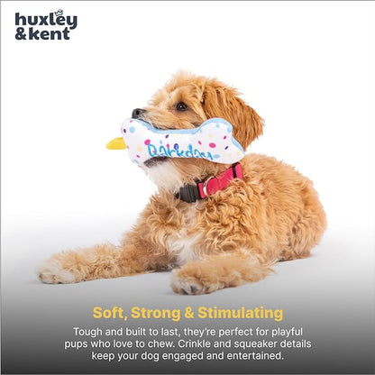 Huxley & Kent Funny Dog Toy w/Squeaker – Power Plush Squeaky Dog Toys for Small Dogs – Durable Small Stuffed Animal for Indoor Play & Fetch - Tiny Tuff It's My Barkday Bone