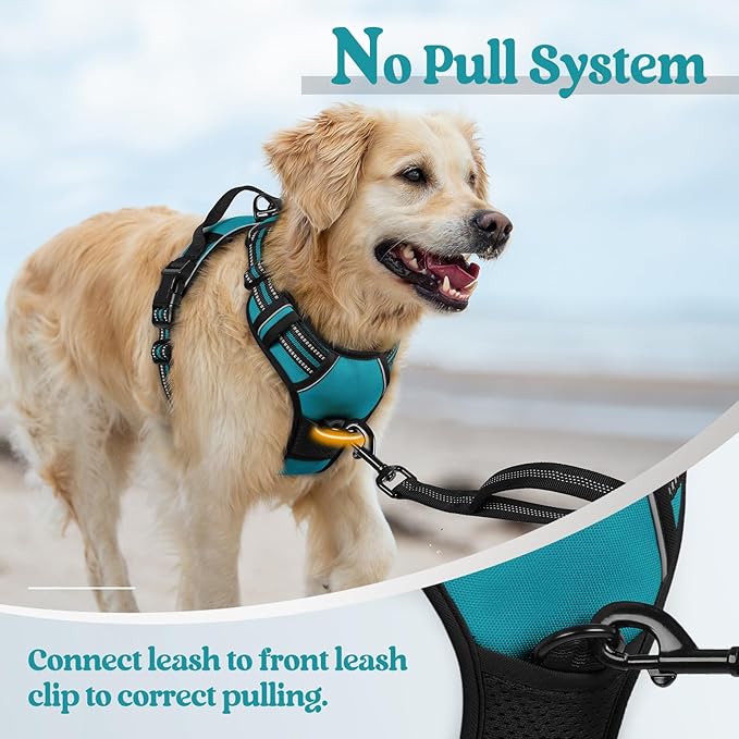 rabbitgoo Dog Harness No Pull with 2 Leash Clips, Adjustable Soft Padded, Reflective Oxford No Choke Pet Vest with Easy Control Handle for Large Dogs, Teal, L