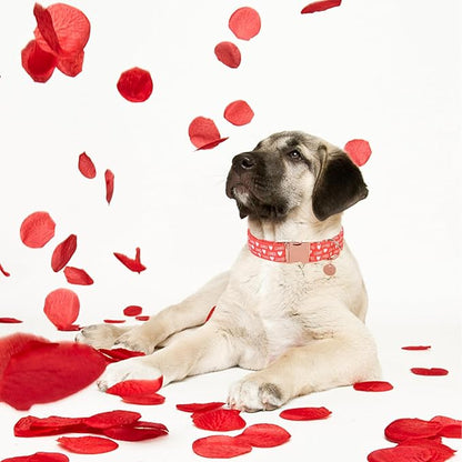 UP URARA PUP Valentine's Dog Collar,Red Heart Dog Collar for Small Medium Large Girl Boy Dogs or Cats, Wedding Dog Collar Match Dog Leash, Pet Collar with Metal Buckle, L