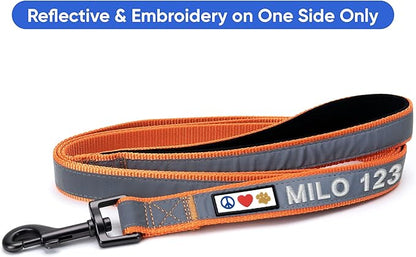 Pawtitas Personalized Orange Dog Leash 6 ft Custom ID Lead for Dogs & Puppies Reflective Comfortable Padded Handle Embroidered Name & Phone Number