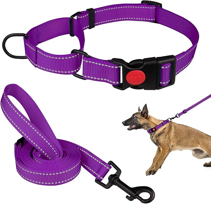 Martingale Dog Collar and Leash Set Martingale Collars for Dogs Reflective Martingale Collar for Small Medium Large Dogs(Purple&L)