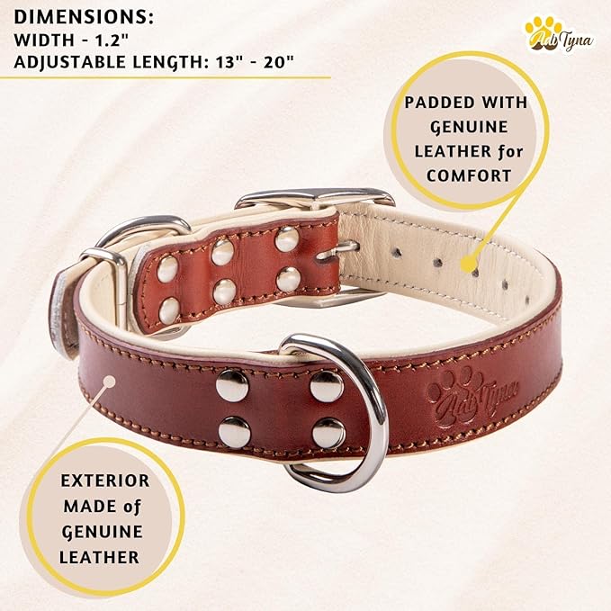 ADITYNA Heavy-Duty Leather Dog Collar for Medium Dogs - Soft Padded for Comfort - Medium Dog Collar for Walking, Training, and Hiking