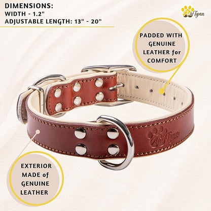 ADITYNA Heavy-Duty Leather Dog Collar for Medium Dogs - Soft Padded for Comfort - Medium Dog Collar for Walking, Training, and Hiking