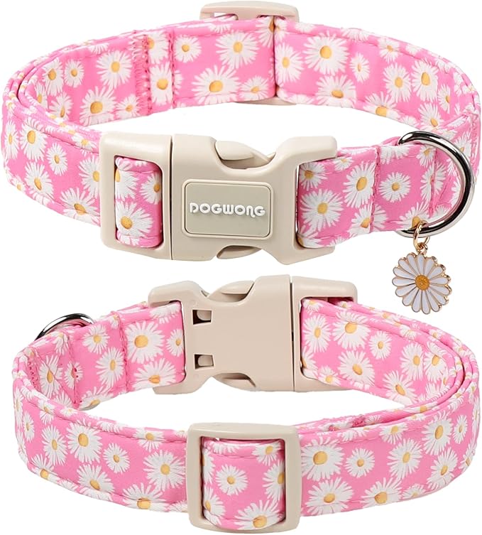 DOGWONG Flower Dog Collar-Daisy Flower Print Girl Dog Collar for Large Cute Dog Collars Spring Female Pet Gift Adjustable Heavy-Duty Soft Collar，M