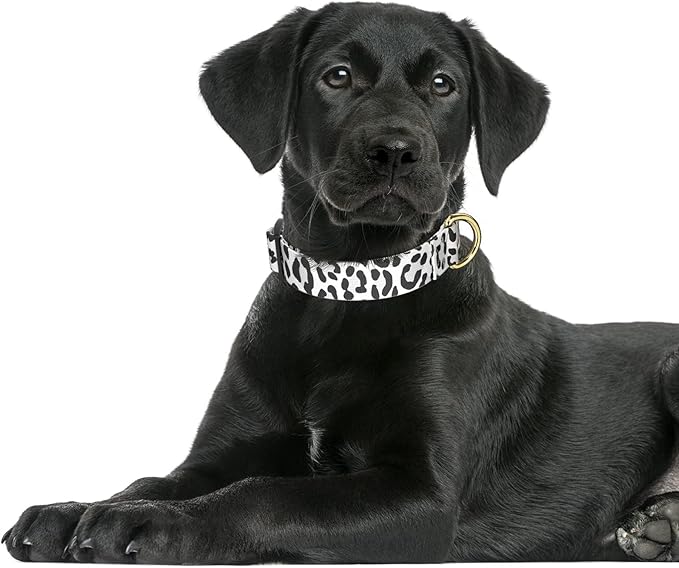 Rnivvi Dog Collar for Large Dogs, Cute Leopard Heavy Duty Adjustable Puppy Collar with Quick Release Buckle for Boy Girl & Female, Pet Accessories for Walking Running, L Length 1" Width, White