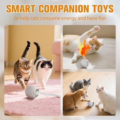 Maycserena Interactive Cat Toys for Indoor,Automatic Moving Electric Rolling Pet Ball,Smart Teasing Toy for Kitty,3 Modes and USB Rechargeable,Tail 2.0 Cat Feather Toy Gray