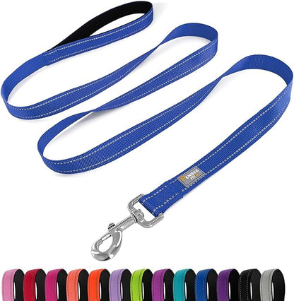 Dog Leash 6 FT Padded Handle Nylon Reflective Dogs Leashes for Small Dogs Blue
