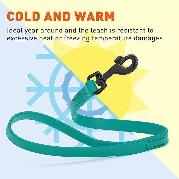 Dogline Biothane Waterproof Dog Leash Strong Coated Nylon Webbing with Black Hardware Odor-Proof Easy to Clean High Performance for Small or Large Dogs Made in USA 2 ft Lead, Blue Aqua