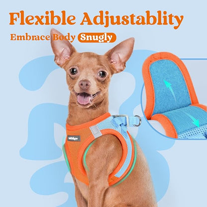 rabbitgoo Small Dog Harness, Step-in Soft Mesh Puppy Vest with Safety Buckle, Breathable Reflective Pet Harness for Small Medium Dogs, Blue & Orange XL