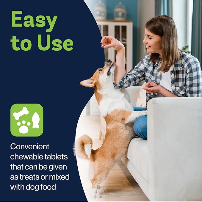 LVL Up Pup Dog Joint Supplement for Senior Dogs – Hip & Joint Supplement for Dogs with Glucosamine, Chondroitin, MSM – Dog Supplement for Large Breed – Joint Health Chews