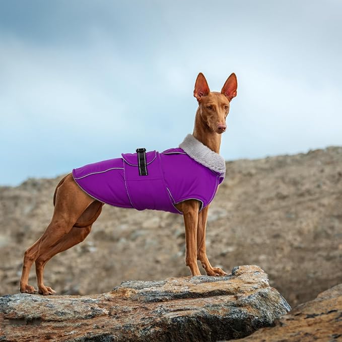 Lelepet Warm Dog Winter Coats for Large Dogs Waterproof Dog Jacket Reflective Pet Fleece Vest Windproof Cold Weather Coats with Adjustable Buckle & Leash Hole, Purple, L