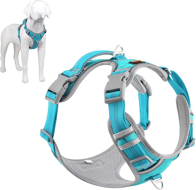 Plutus Pet No Pull Dog Harness, Release at Neck, Reflective Adjustable Dog Vest Harness, Easy Control Handle for Walking, for Small Medium Large Dogs, Cyan, S