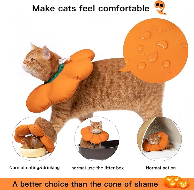 H HIDREAM Cat Cone Collar,Cute Waterproof Recovery Collar,Anti-Bite Lick Wound Healing Safety Elizabethan e Collar for Cats,Orange Pumpkin Halloween Costume, HDY01-005S