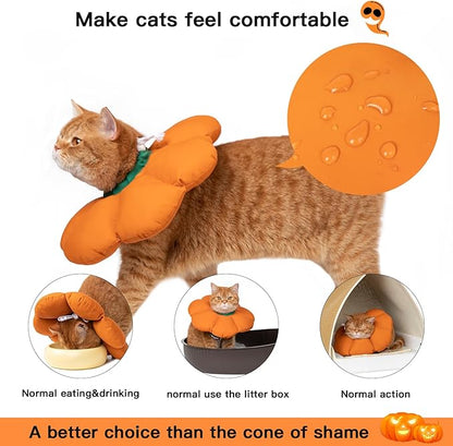 H HIDREAM Cat Cone Collar,Cute Waterproof Recovery Collar,Anti-Bite Lick Wound Healing Safety Elizabethan e Collar for Cats,Orange Pumpkin Halloween Costume, HDY01-005S