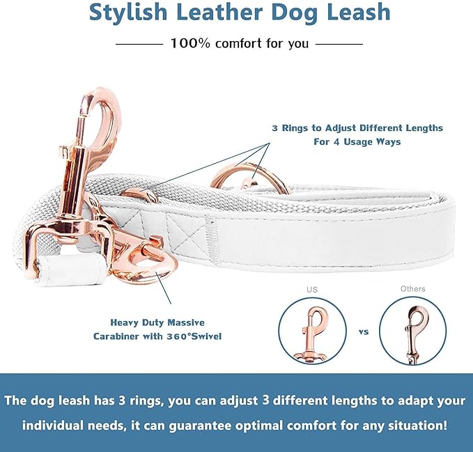 Soft Leather Dog Collar and Leash (6.6') Set - Stylish Rose Gold Heavy Duty Metal Buckle, 4 Adjustable Lengths Leash for Small Medium Large Dogs - Comfortable & Easy to Clean White XS(8"-12")