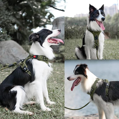 PoyPet No Pull Dog Harness and 5 Feet Leash Set, Release on Neck Reflective Adjustable Pet Vest, Front & Back 2 D-Ring and Soft Padded Pet Harness with Handle for Small to Large Dogs(Military Green,M)