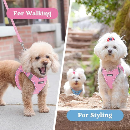 rabbitgoo Small Dog Harness, Step-in Soft Mesh Puppy Vest with Safety Buckle, Breathable Reflective Pet Harness for Small Medium Dogs, Pink & Plaid Trim L