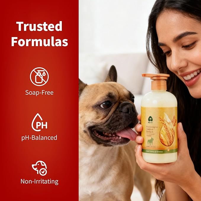 Arf Arf Odor Control Dog Shampoo - Advanced Deodorizing Formula for Smelly Dogs with Soothing Hydrolyzed Oat Protein for Dry, Itchy Skin Relief - Long Lasting Fresh Scent - Pro Grooming Results - 16oz