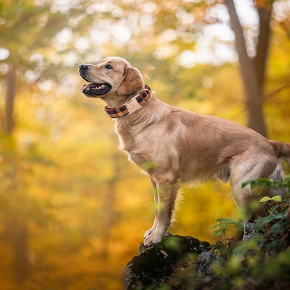Elegant little tail Fall Dog Collar, Autumn Pet Collar Durable Yellow Plaid Dog Collars Male or Female Holiday Pet Gift Adjustable Dog Collar for X-Small Dogs