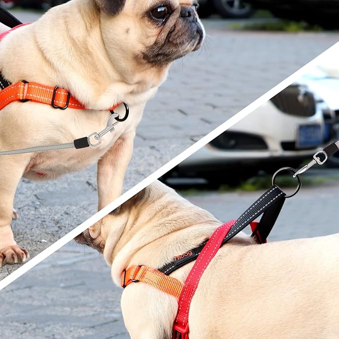 Didog No Pull Dog Harness with Soft Padded Handle, Quick Fit & Lightweight Adjustable Vest Harness, Easy for Training Walking for Small & Medium and Large Dogs(Red,L)