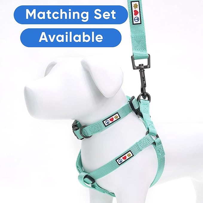 Pawtitas Solid 6 ft Teal Dog Leash XXS/Cat Custom Name and Phone Embroidery Strong Nylon Leash for Small Breeds
