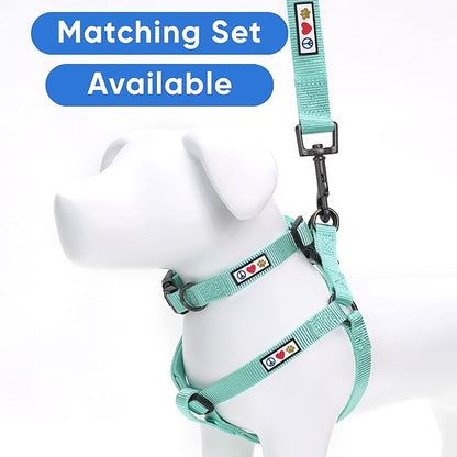 Pawtitas Solid Step-in Dog Harness Adjustable No-Pull Vest for Puppies to Seniors, Safe & Comfortable L Turquoise