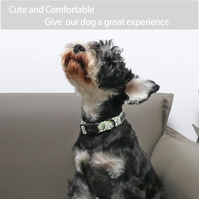 ARING PET Dinosaur Dog Collar-Cute Dog Collar for Small Dogs, Adjustable Comfortable Cotton Boy Dog Collars for Small Medium Large Dogs, Medium