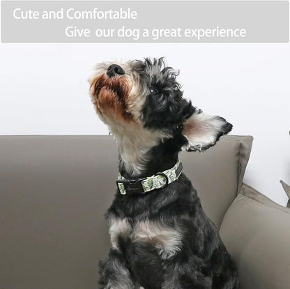 ARING PET Dinosaur Dog Collar-Cute Dog Collar for Small Dogs, Adjustable Comfortable Cotton Boy Dog Collars for Small Medium Large Dogs, Medium