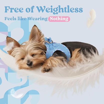 rabbitgoo Small Dog Harness, Step-in Soft Mesh Puppy Vest with Safety Buckle, Breathable Reflective Pet Harness for Small Sized Dogs, Blue & Plaid Trim M