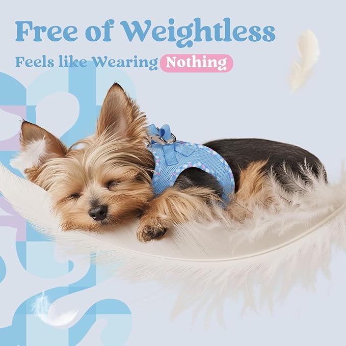 rabbitgoo Small Dog Harness, Step-in Soft Mesh Puppy Vest with Safety Buckle, Breathable Reflective Pet Harness for Small Sized Dogs, Blue & Plaid Trim S