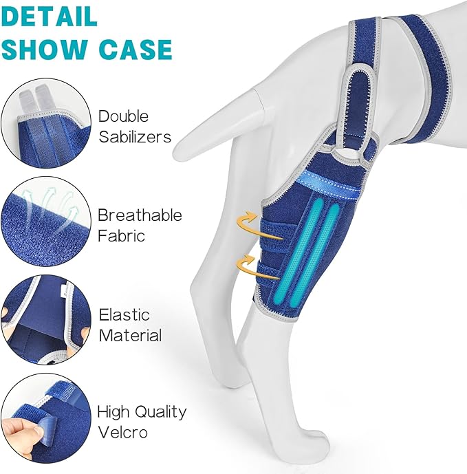 Dog Knee Brace for Torn ACL Hind Leg–Adjustable Support Dog Leg Brace for Back Leg with 2 Stabilizers, Hip Support to Reduces Pain Luxating Patella , Ligament Injuries, CCL (Blue, Right Leg, L)