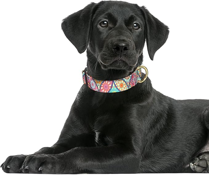 Rnivvi Dog Collar for Large Dogs, Cute Heavy Duty Adjustable Puppy Collar with Quick Release Buckle for Boy Girl & Female, Pet Accessories for Walking Running, L Length 1" Width, Beautiful Mandala