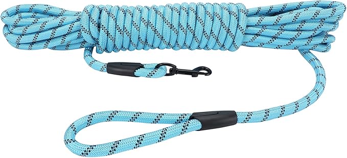 Long Dog Leash for Training 20Ft-Reflective Nylon Rope with Swivel Hook-Recall Agility Lead for Large Small Medium Dogs Outside Walking Hiking-Sky Blue Diam 1/2"