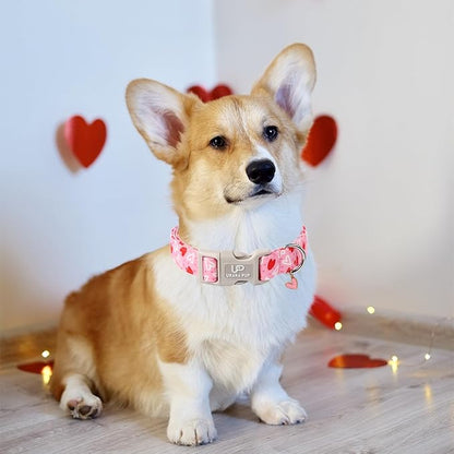 Valentine’s Dog Collar, Pink Heart Dog Collar with Quick Release, Valentine’s Gift Pet Girl Boy Dog Collar for Puppy Small Medium Dogs, Wedding Dog Collar