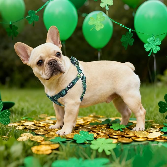 PUPTECK No Pull St. Patrick Dog Harness Soft Adjustable Basic Nylon Step in Puppy Vest Outdoor Walking with ID Tag, Deep Green M