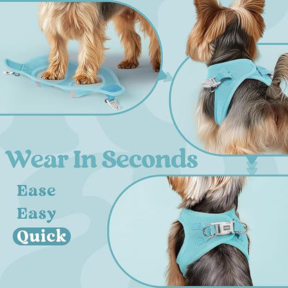 rabbitgoo Small Dog Harness, Step-in Soft Mesh Puppy Vest with Safety Buckle, Breathable Reflective Pet Harness for Small Medium Dogs, Mint Blue XL