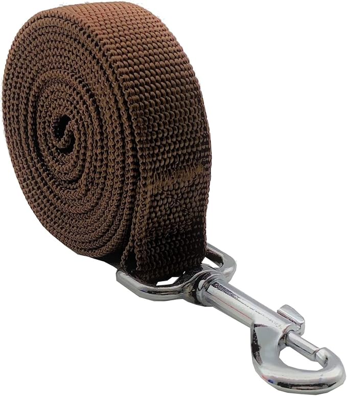 Nylon Dog Leash 12 Feet Long, Walking Training Dog Leashes for Medium Large Dogs(1" X 12 ft, Brown)