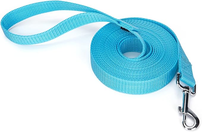 Siumouhoi Strong Durable Nylon Dog Training Leash, 1 Inch Wide Traction Rope, 6 ft 10ft 15ft Long, for Small and Medium Dog (Mint Blue, 15 Feet)
