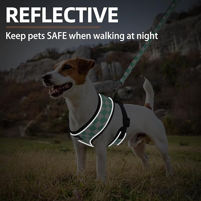 PUPTECK Soft Mesh Dog Harness and Leash Set Pet Puppy Cat Comfort Padded Vest No Pull Harnesses, Checkered Green&White, L