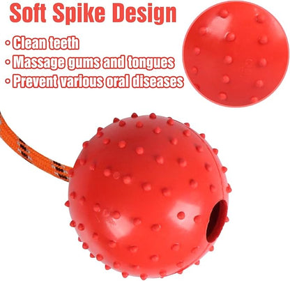 2 Pack Dog Ball, K9 Ball on Rope for Reward, Fetch, Play (Blue and Red)