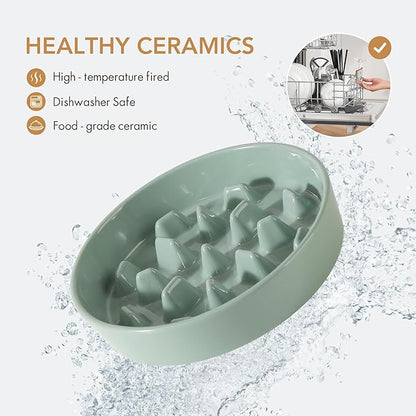 Ceramic 3.2 Cup Dog Raised Slow Feeder Set, Elevated Bowl with Wooden Stand for Large Dog, 9.5inch Slow Feeder Dish for Fast Easters, Anti-Gulping(Light Green, Single Bowl+ Stand)