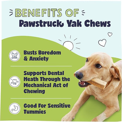 Pawstruck Large Himalayan Yak Cheese Chews for Dogs - Premium Long Lasting Natural Treat for Aggressive Chewers Limited Ingredient - Pack of 10 - Packaging May Vary